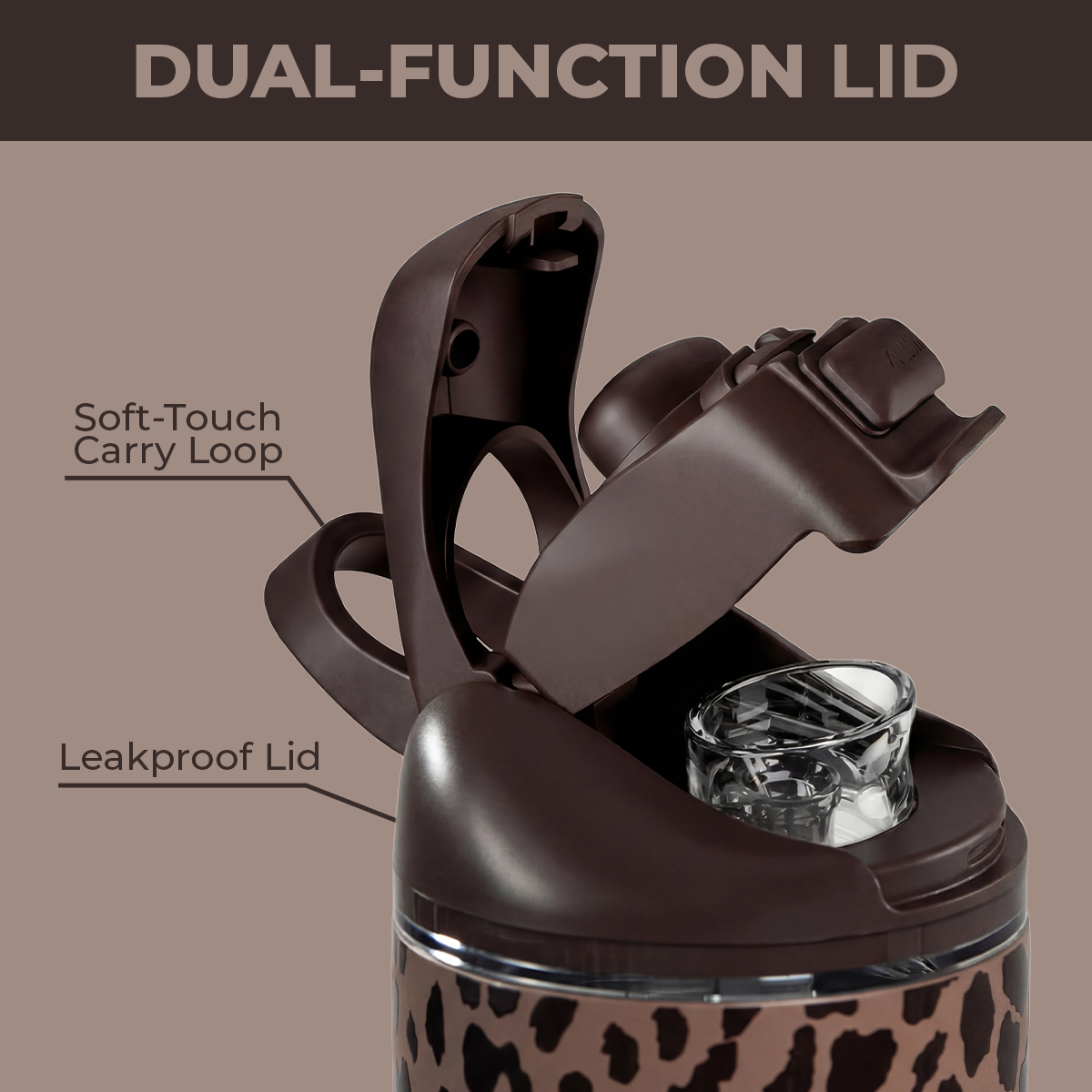 brown-leopard-v0 Ease24-BrownLeopard-WPI-6.png