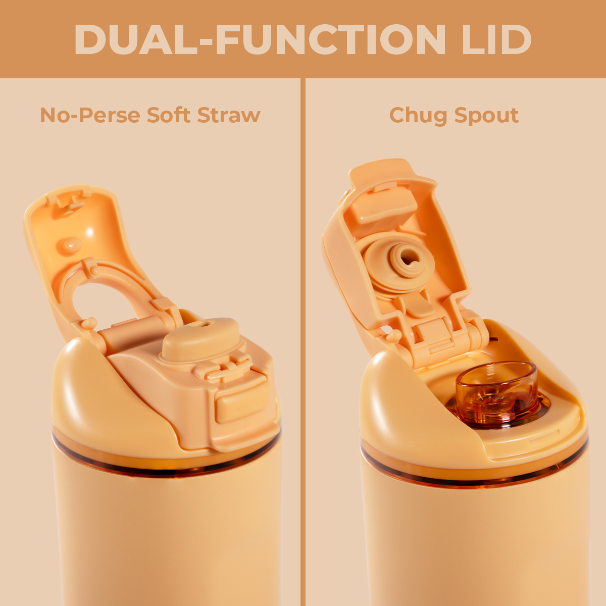 marigold-j4 Ease24-Marigold-WPI-5.png