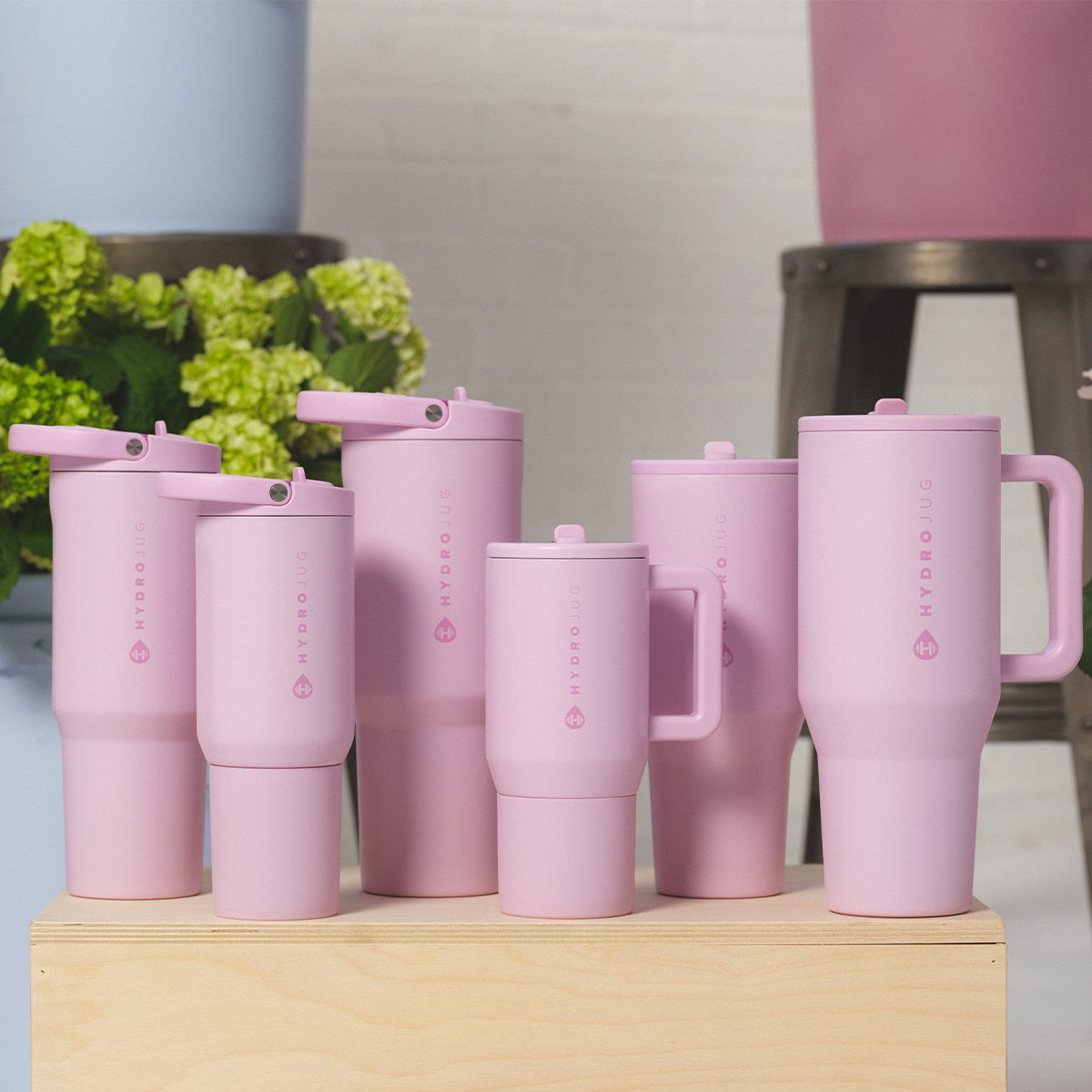 sweet-pea-s5 Sport20-Sweetpea-WPI-9.png