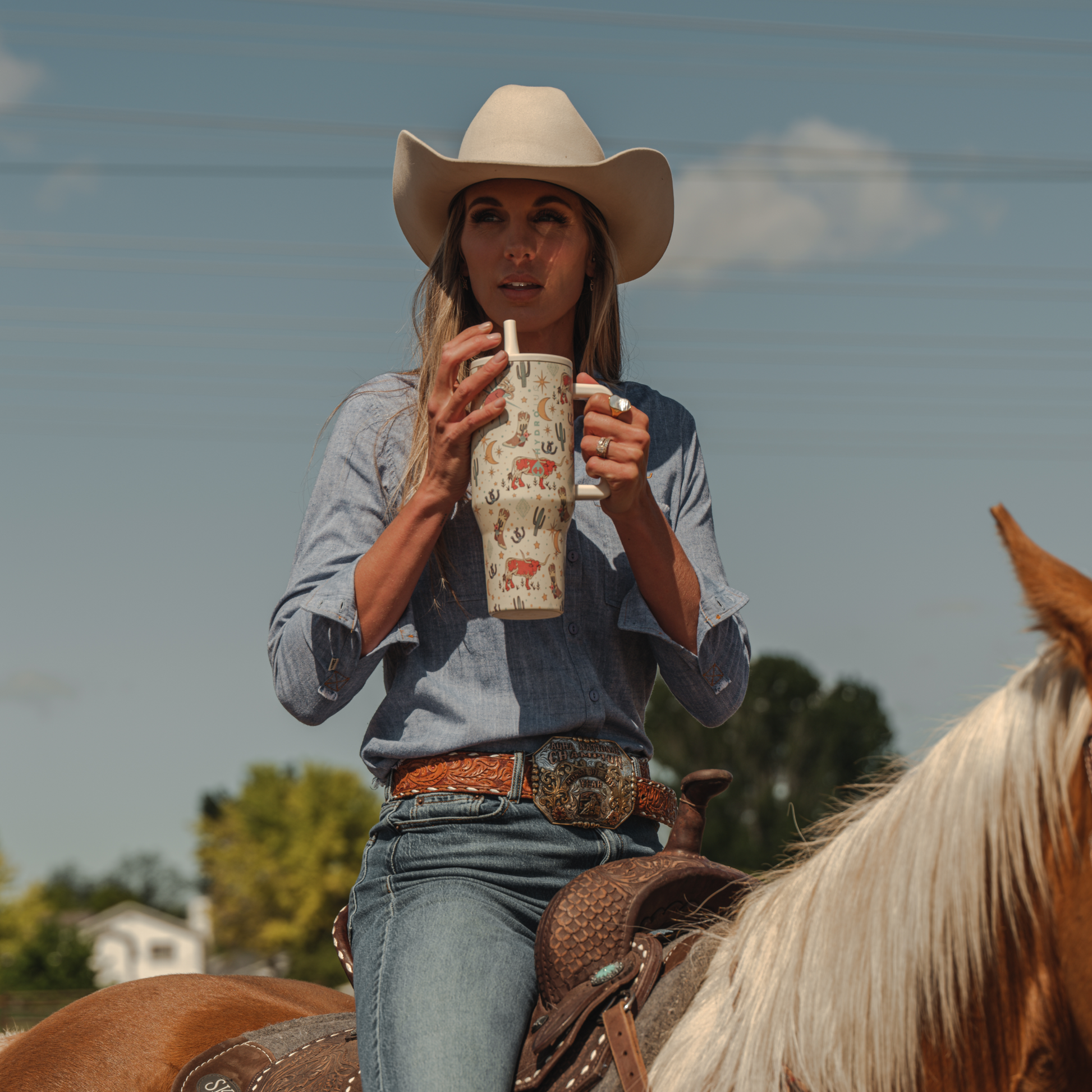 rodeo-r3 TRVL-Rodeo-6WPI.png